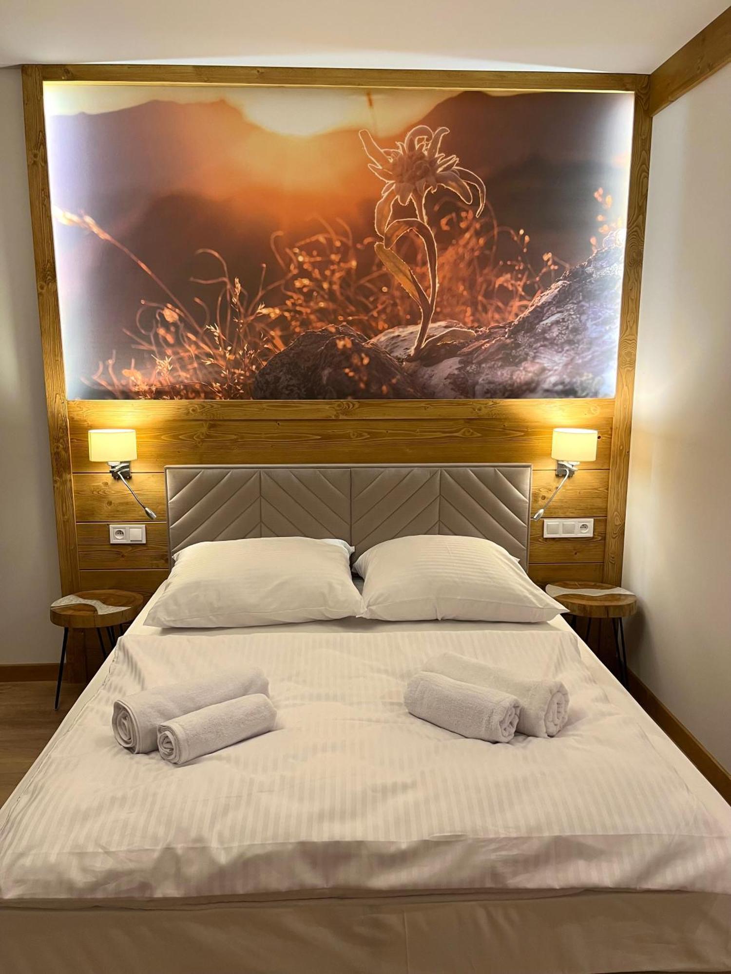 Tatra Widok Apartment Bukowina Tatrzanska Ngoại thất bức ảnh
